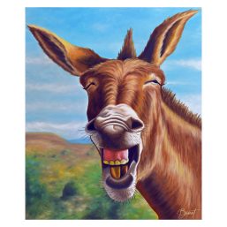Burro feliz